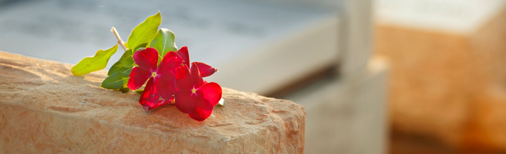 Flower sitting on a tombstone